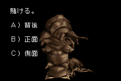 賭ける。